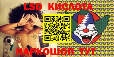 ПСИЛОЦИБИНОВЫЕ ГРИБЫ Кандалакша