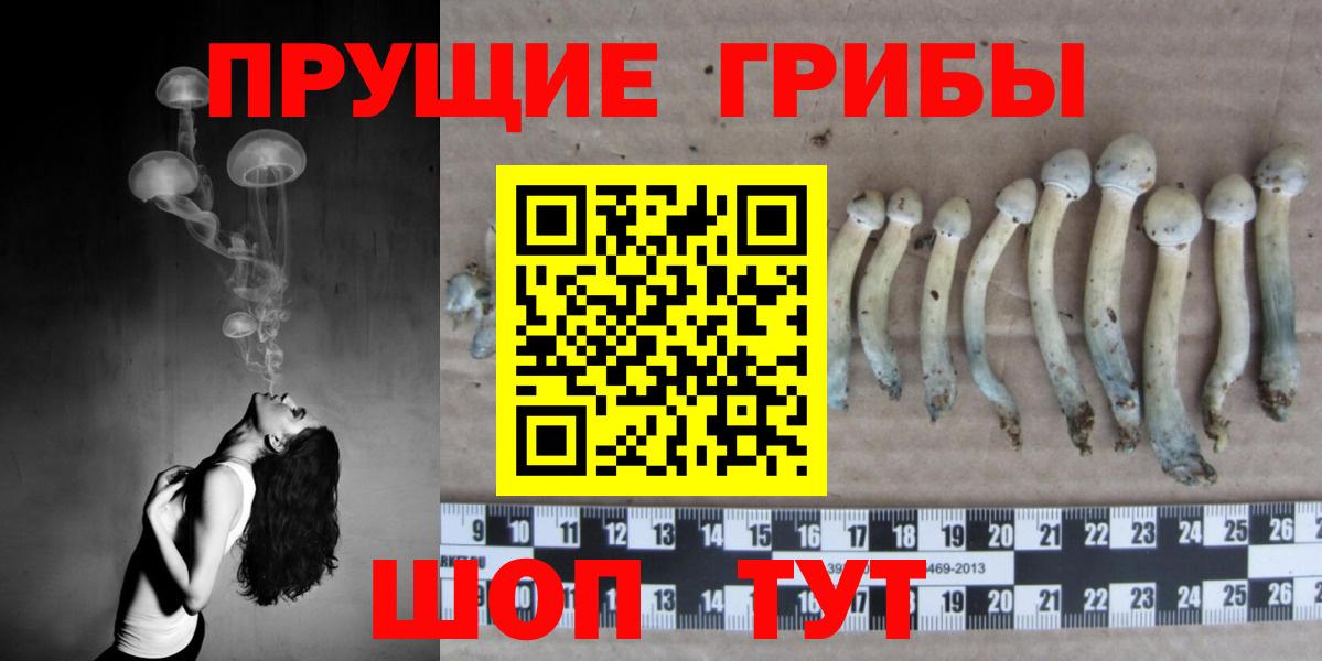 Магадан  Галлюциногенные грибы Psilocybe  Вход с VPN 