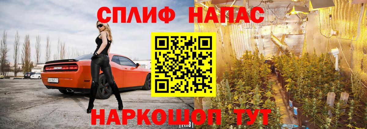 Марихуана планчик  Марихуана VHQ  Магадан  Вход с VPN 